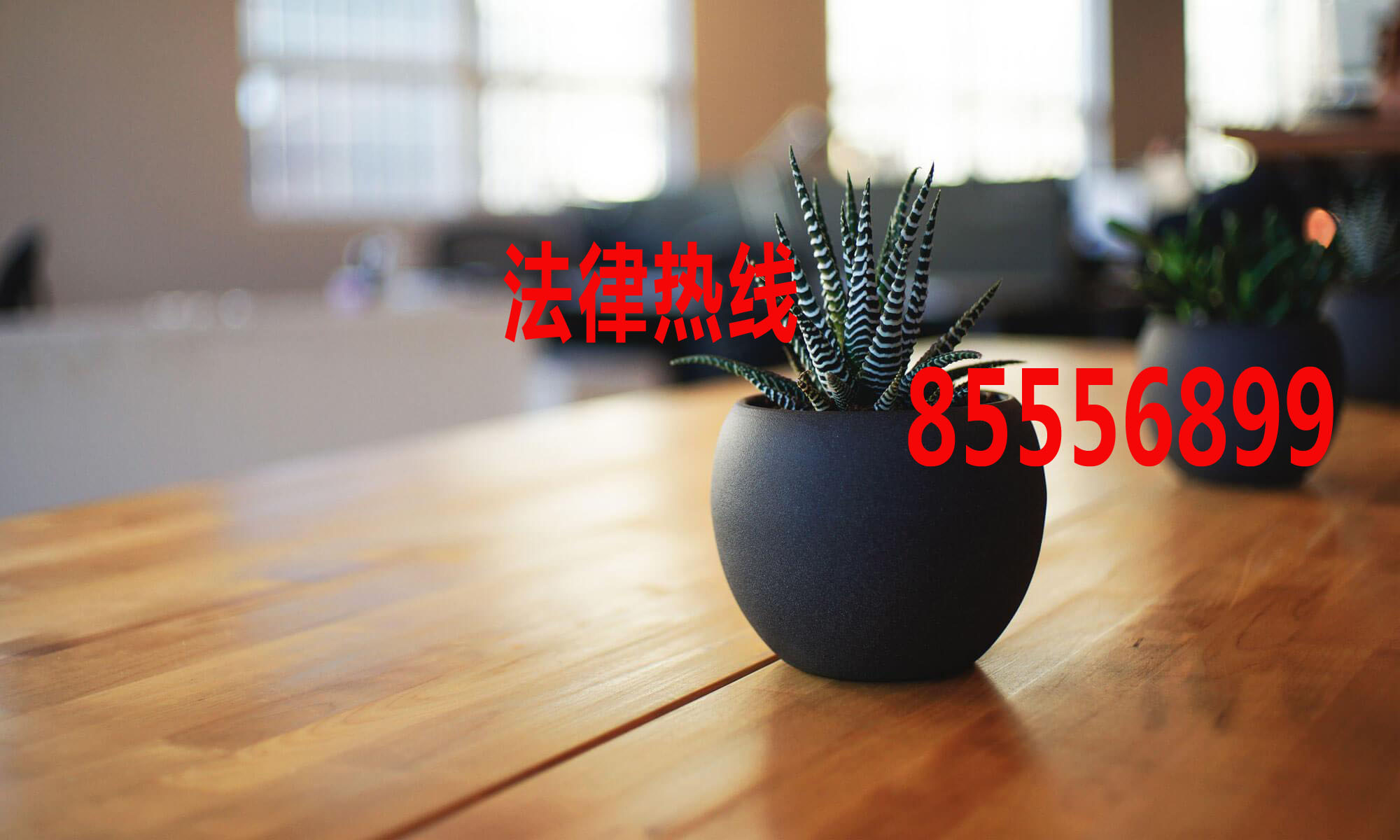 平阳县律师15356291688_温州市平阳县律师事务所